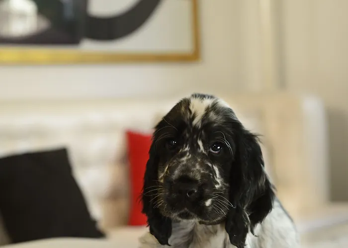 Szálloda Pulitzer Róma