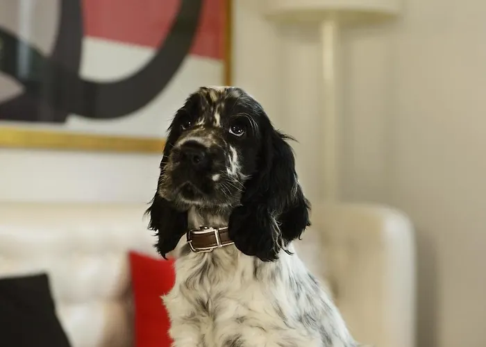 Pulitzer Ξενοδοχείο 4*