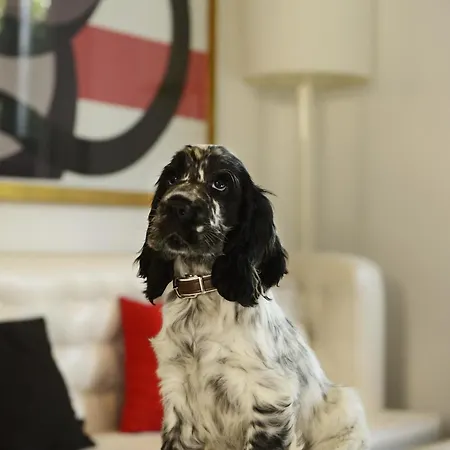 Pulitzer Отель 4*